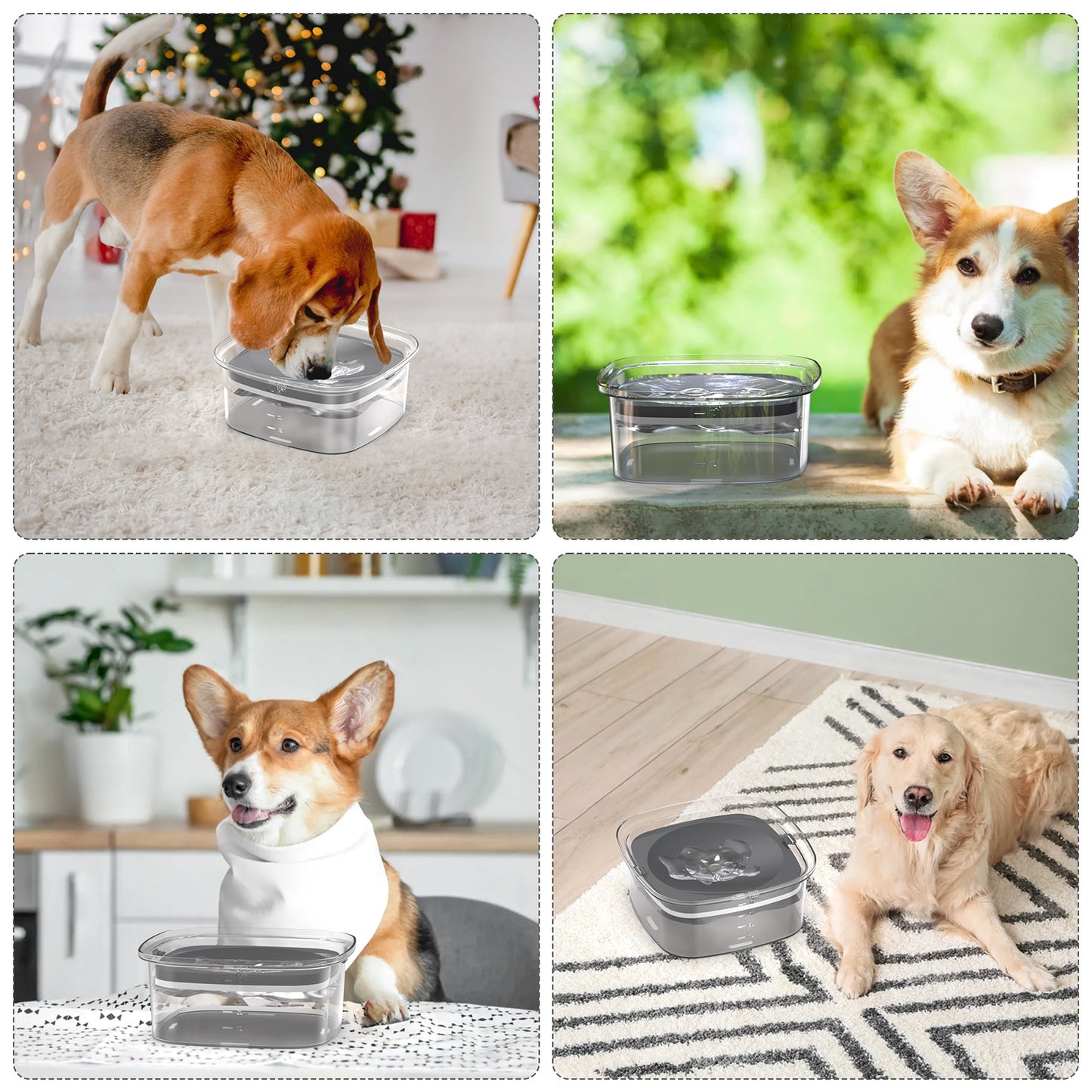 NAZFLNEP Dog BOWLS-001