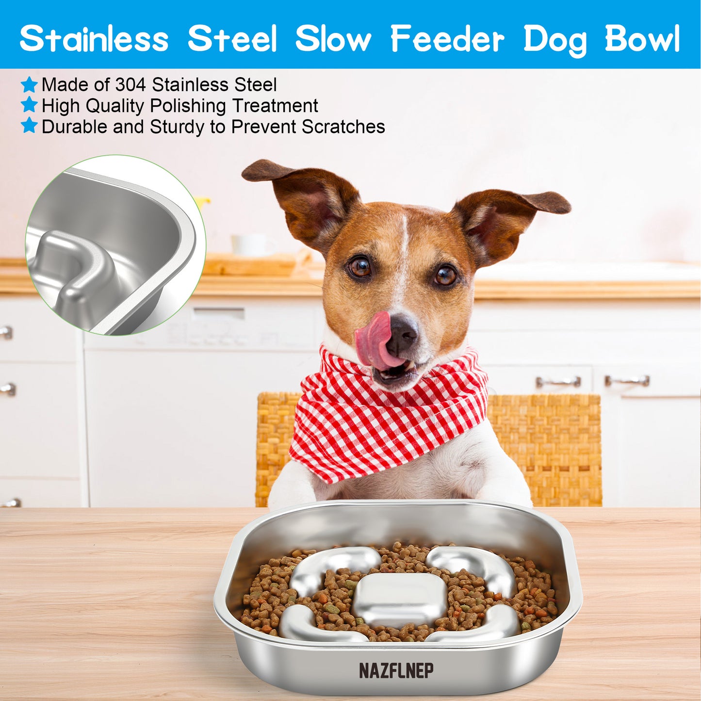 NAZFLNEP Dog BOWLS-003