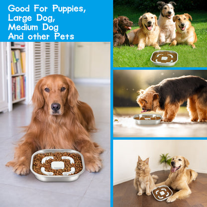 NAZFLNEP Dog BOWLS-003