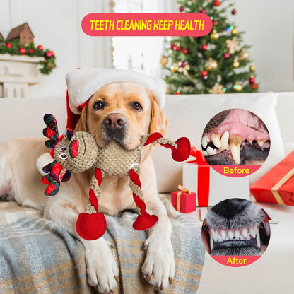 NAZFLNEP Christmas Dog Toy - 02