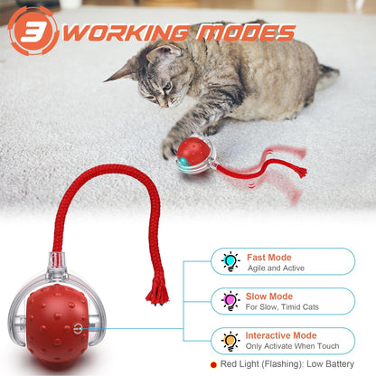 NAZFLNEP Interactive Cat Toys Ball (Long Tail)